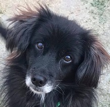 Eugene (Adopted)