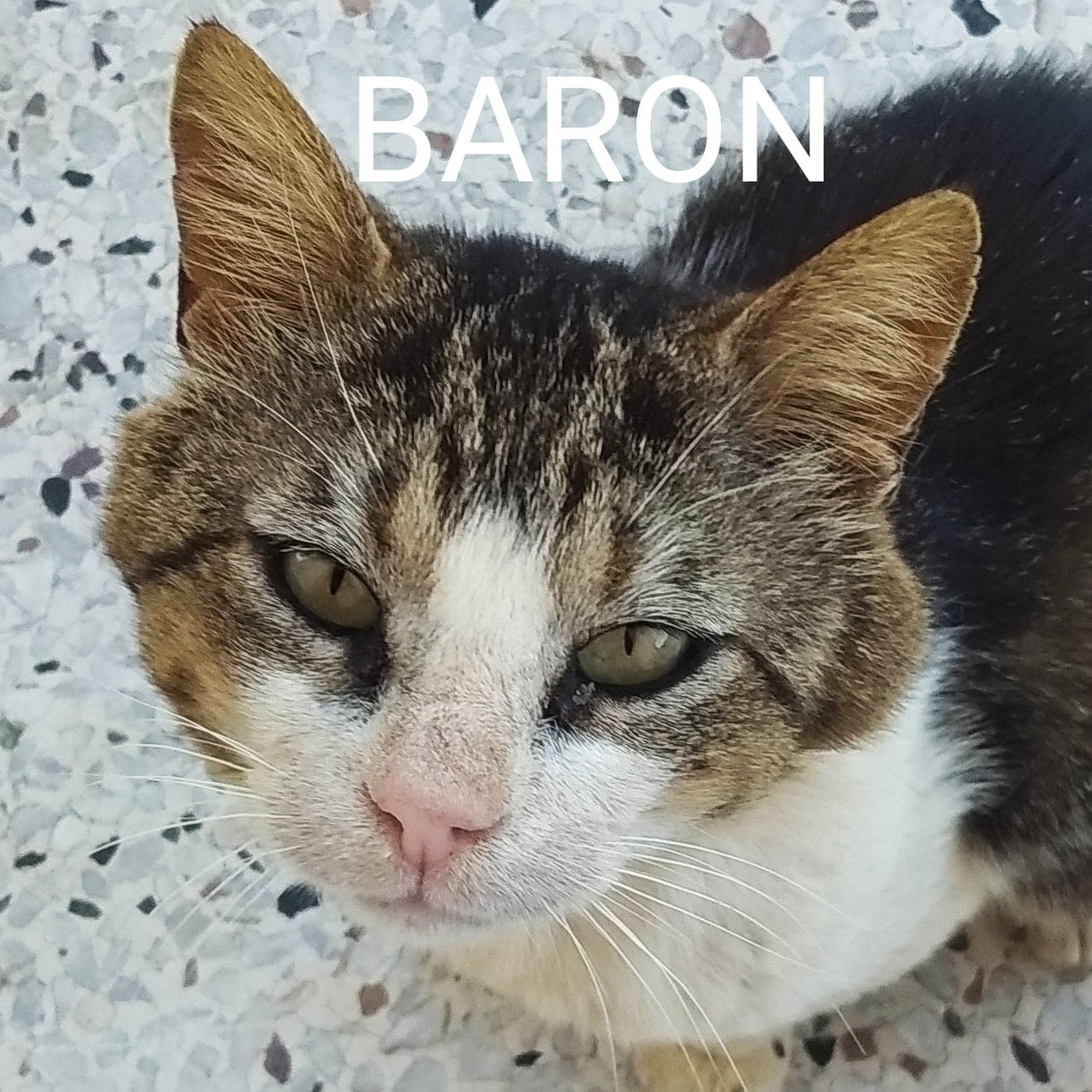 Baron (emergency)