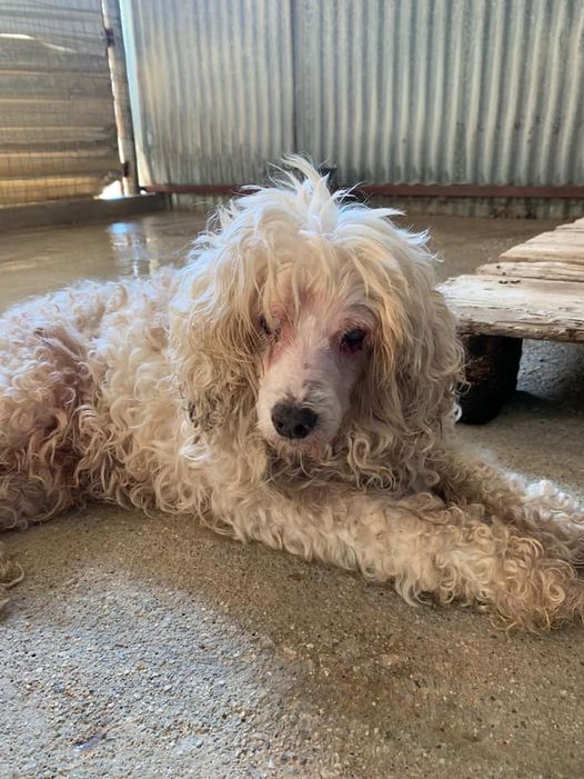 Spencer (reserved)