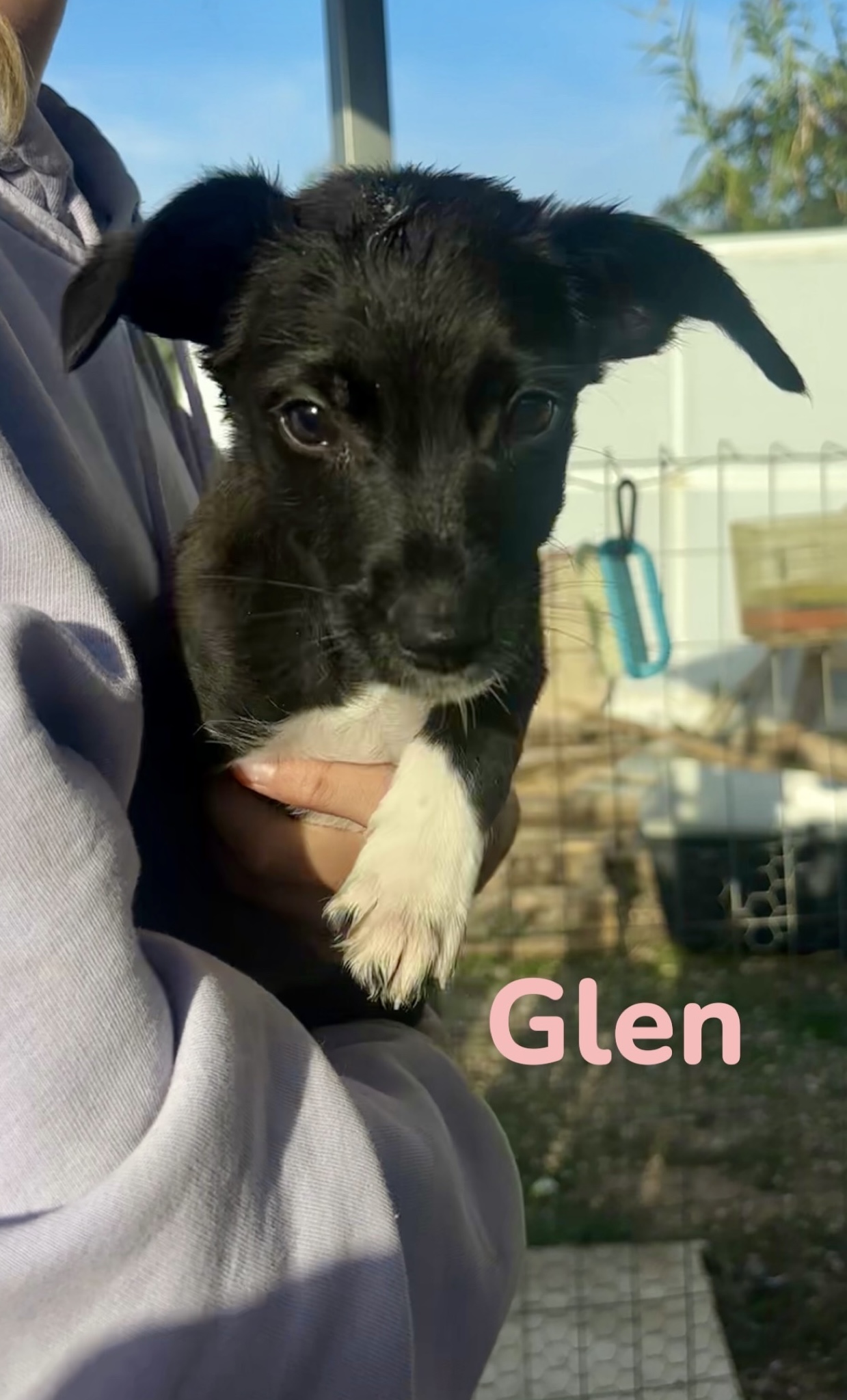Glen